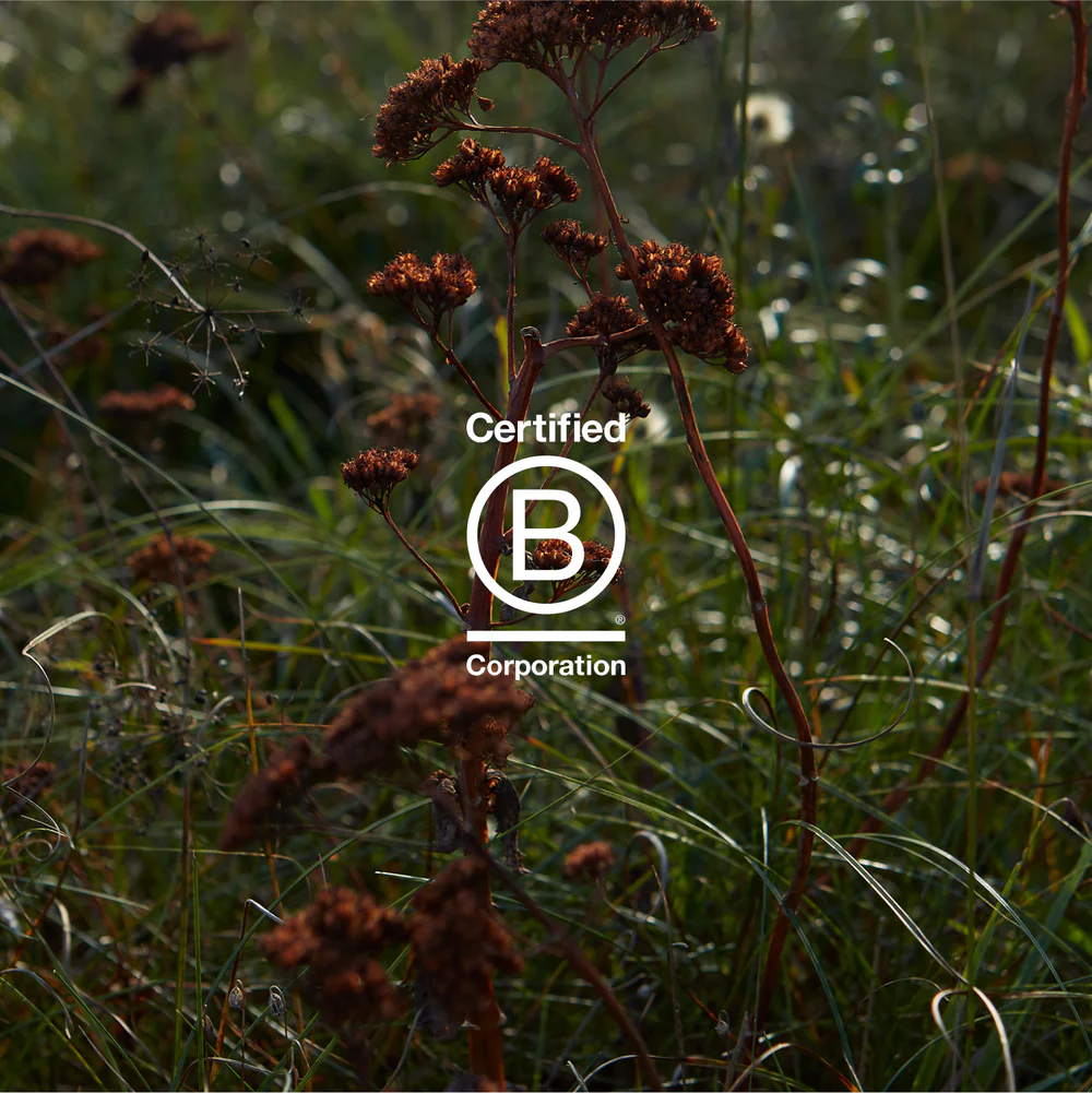 Certified B Corporation